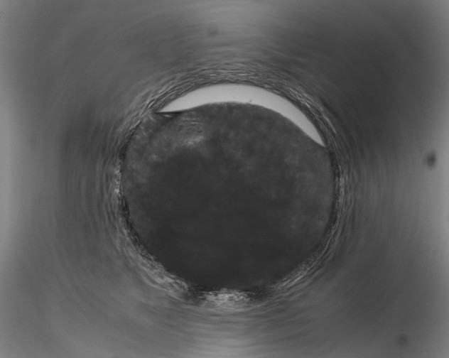 X0000116120517200912071349