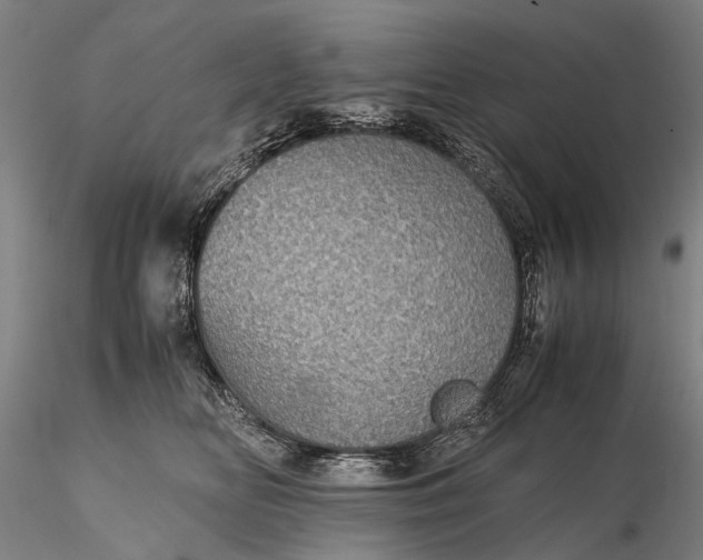 X0000116120518200912071349