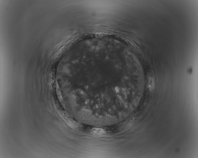 X0000116120519200912071349