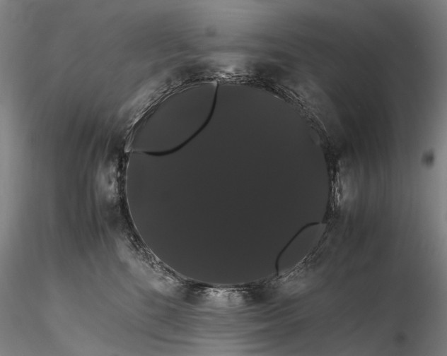 X0000116120520200912071349