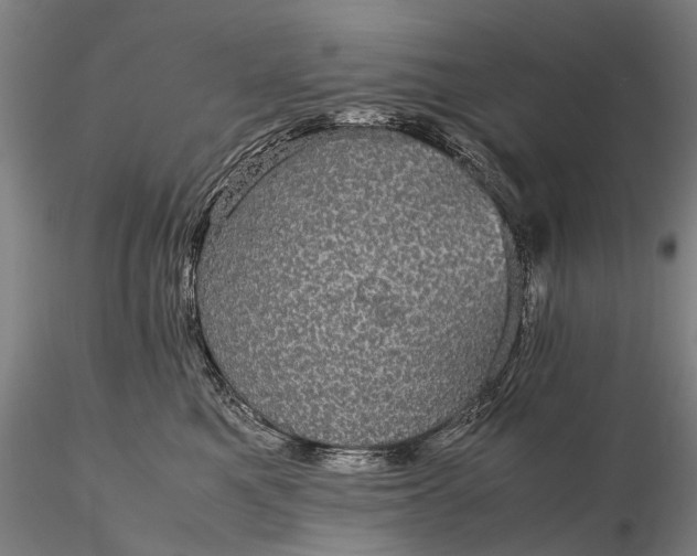 X0000116120521200912071349