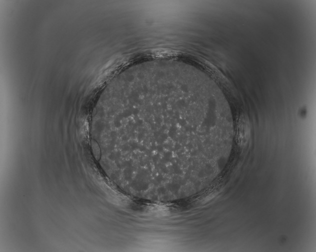 X0000116120523200912071349