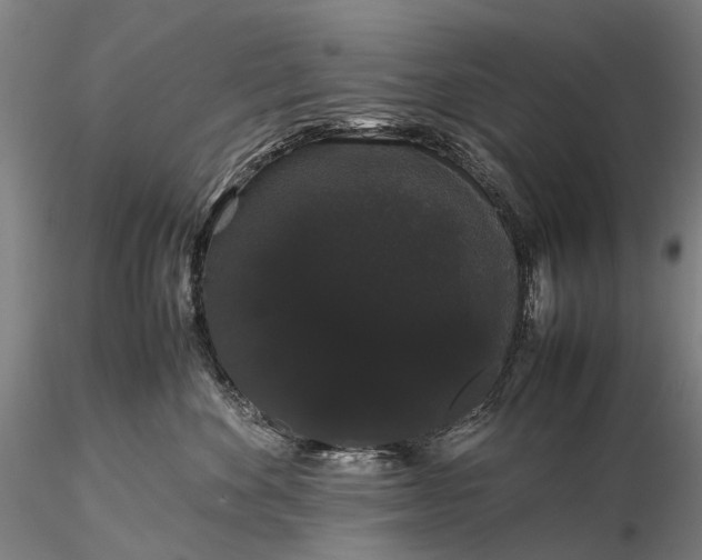 X0000116120524200912071349