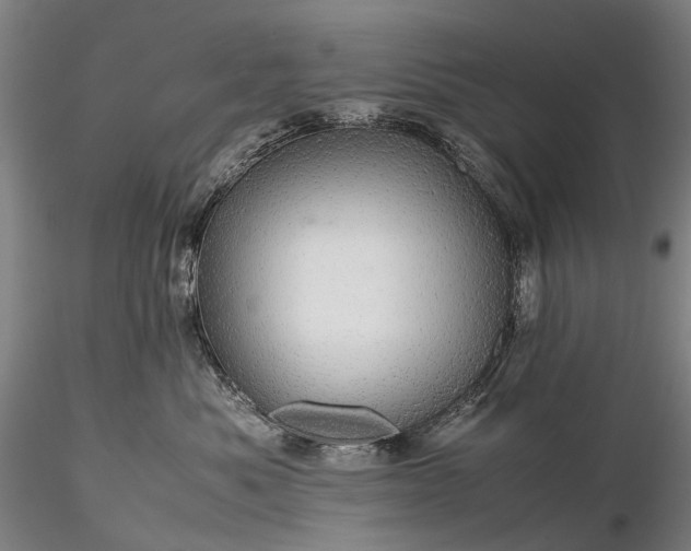 X0000116120525200912071349