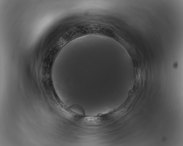 X0000116120526200912071349