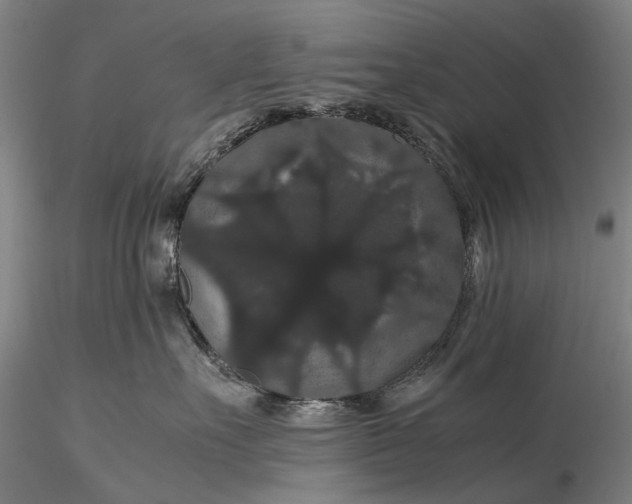 X0000116120527200912071349