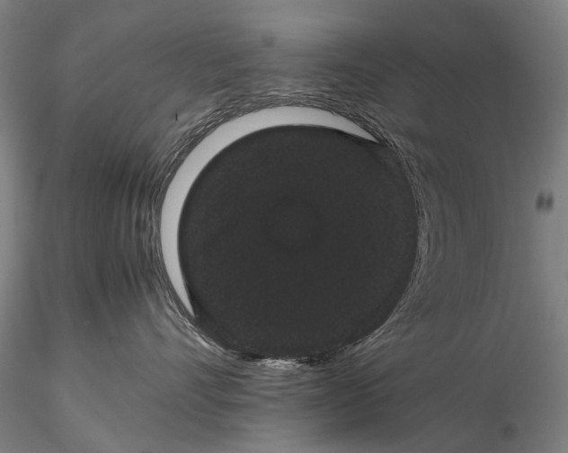 X0000116120528200912071349