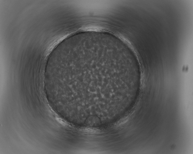 X0000116120529200912071348