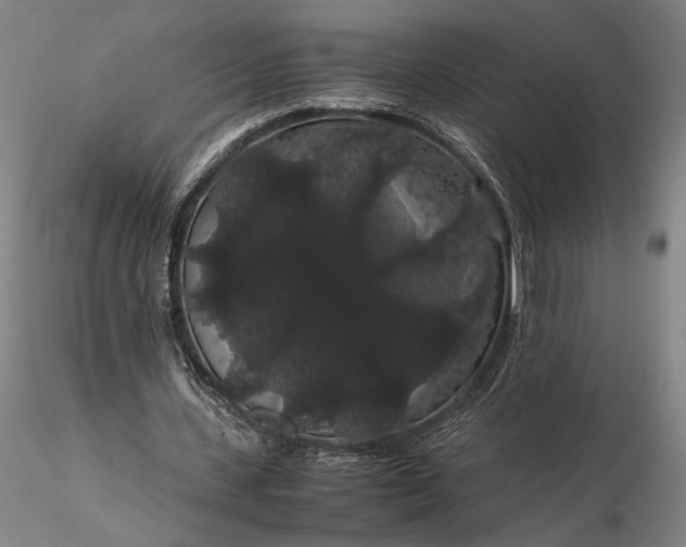 X0000116120531200912071348