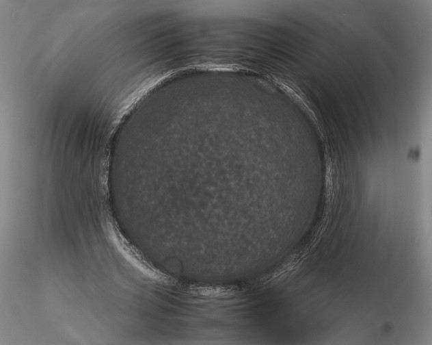 X0000116120533200912071348