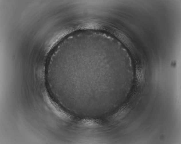 X0000116120534200912071348