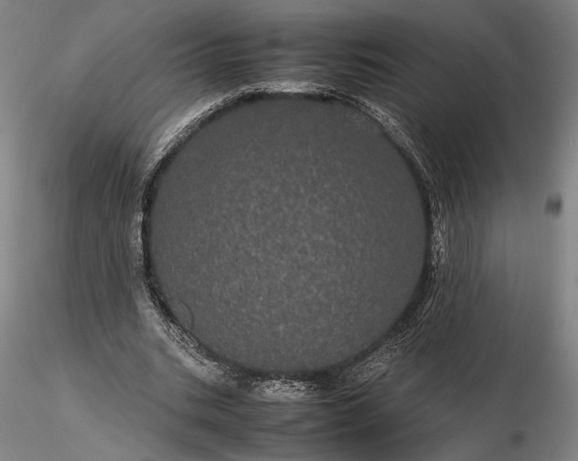 X0000116120535200912071348