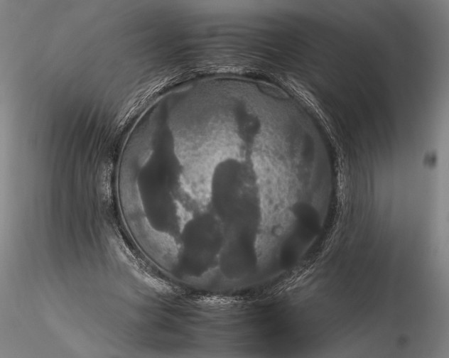 X0000116120537200912071348