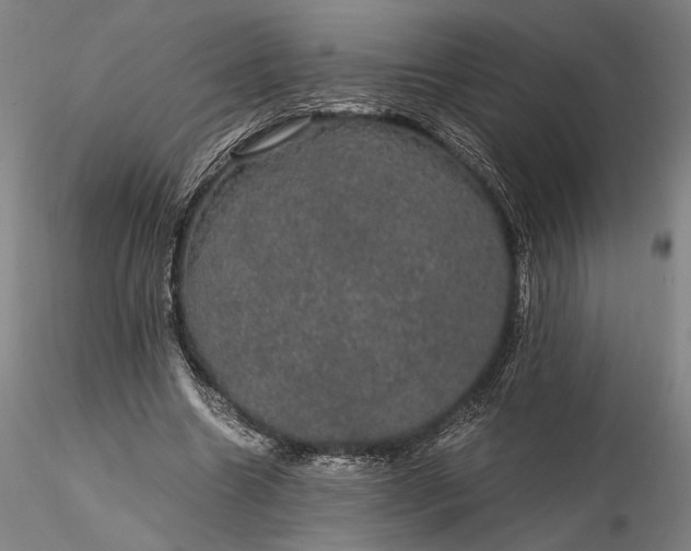 X0000116120538200912071348