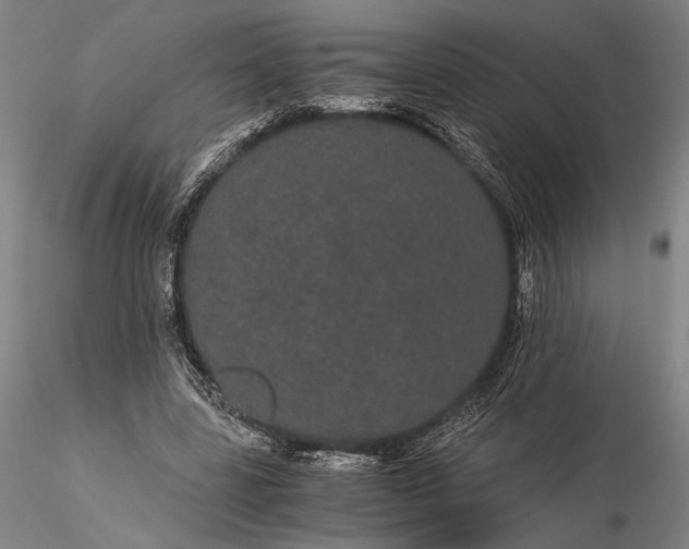 X0000116120539200912071348