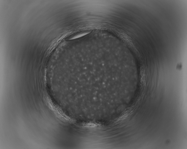 X0000116120542200912071348