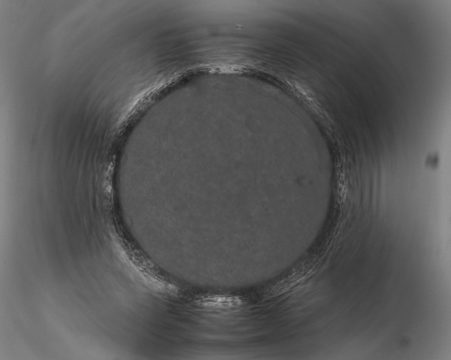 X0000116120543200912071348