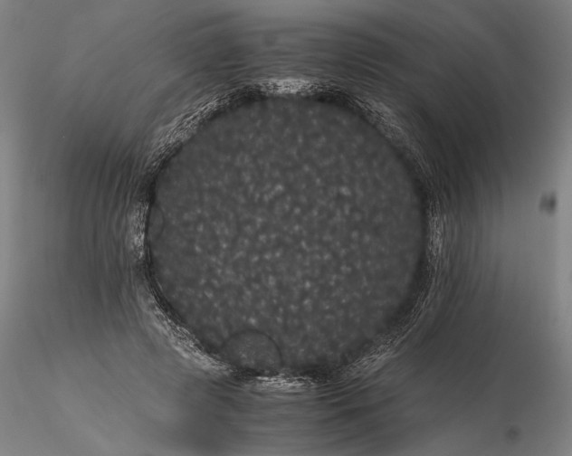 X0000116120545200912071348