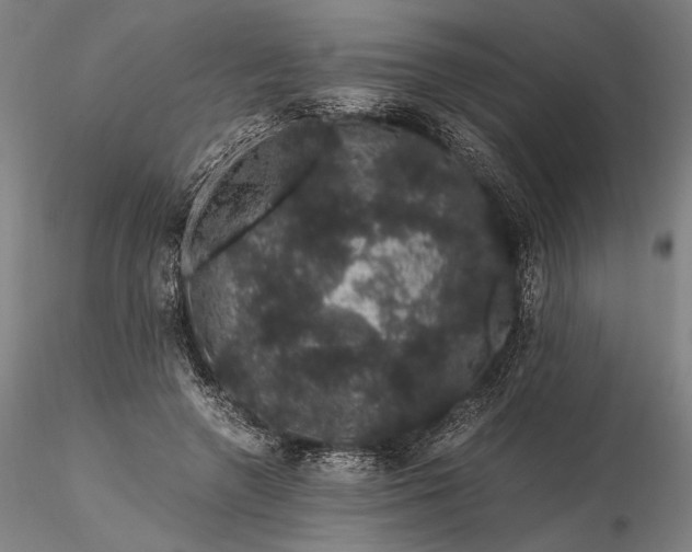 X0000116120546200912071348