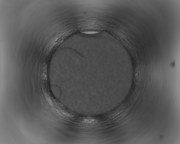 X0000116120547200912071348