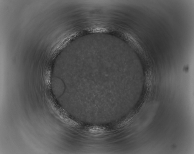 X0000116120549200912071348