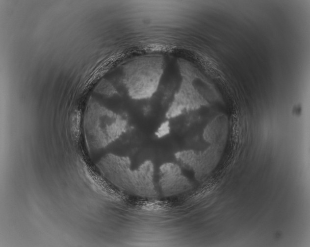 X0000116120550200912071348