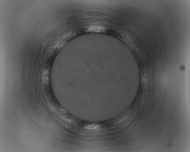 X0000116120551200912071348