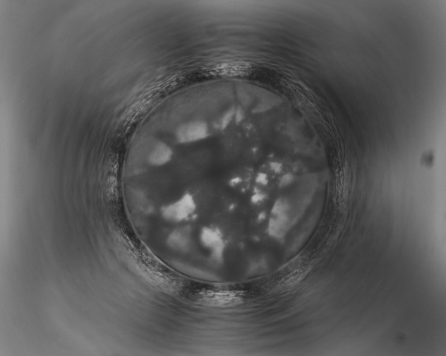 X0000116120553200912071348