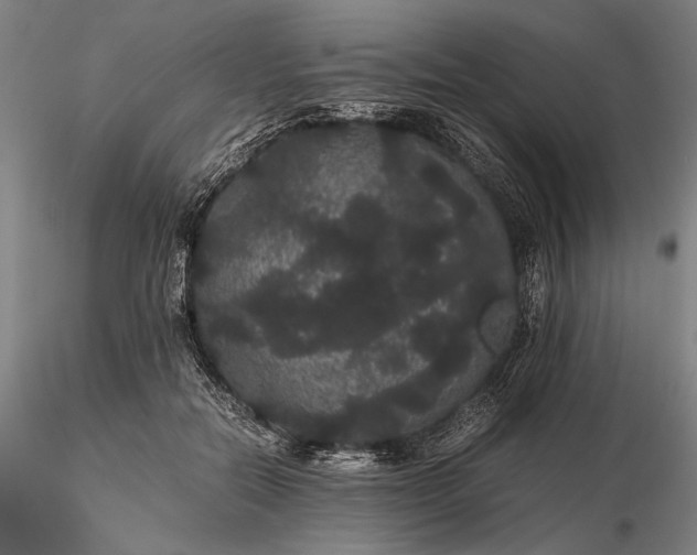 X0000116120554200912071348