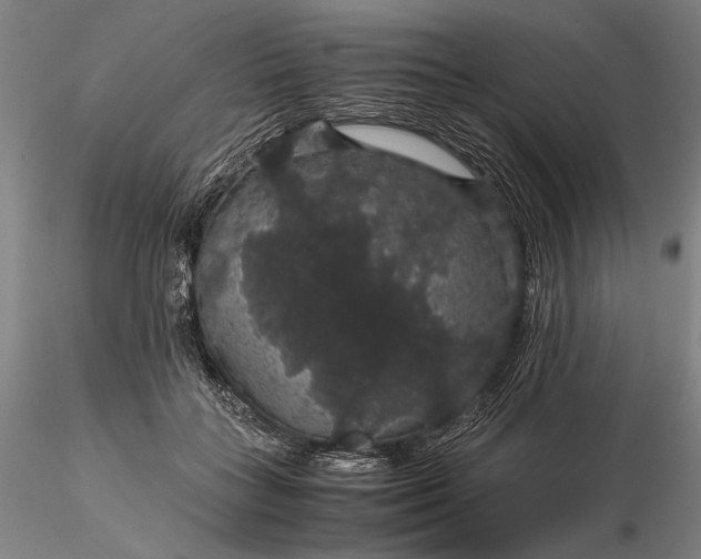 X0000116120555200912071348