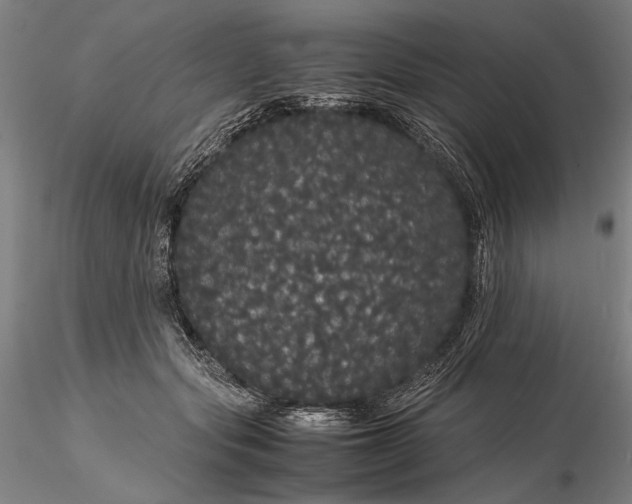 X0000116120557200912071348