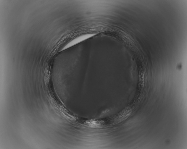 X0000116120558200912071348