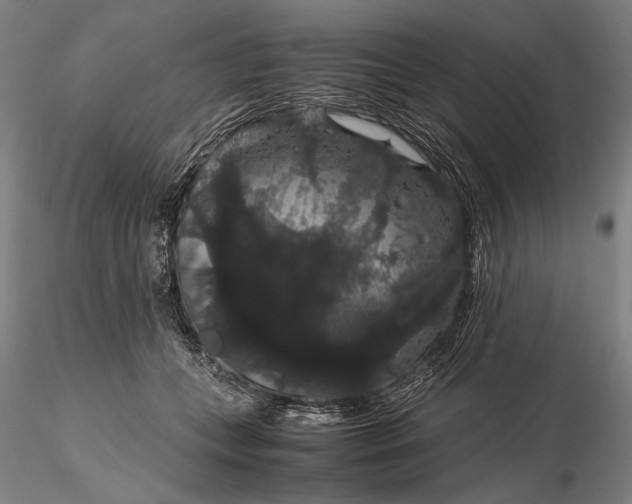 X0000116120559200912071348