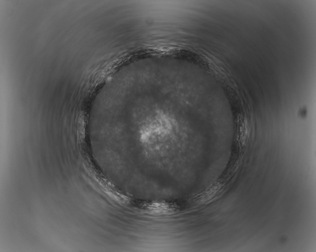 X0000116120562200912071348