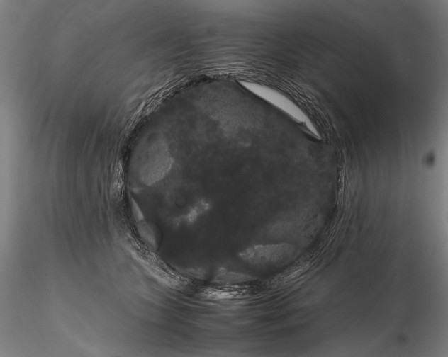 X0000116120563200912071348