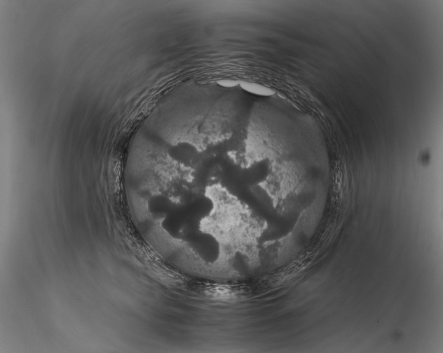 X0000116120565200912071348