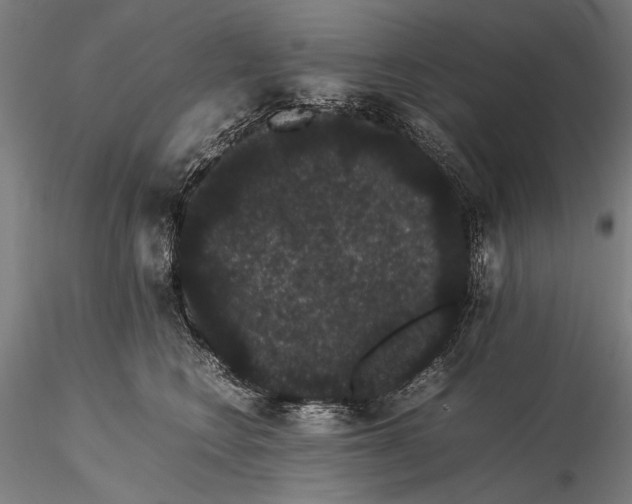 X0000116120566200912071348