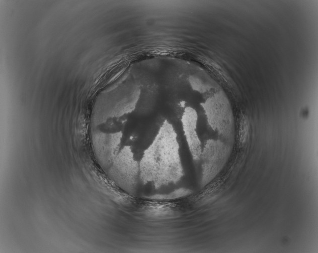 X0000116120569200912071348