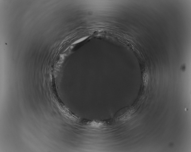 X0000116120570200912071348