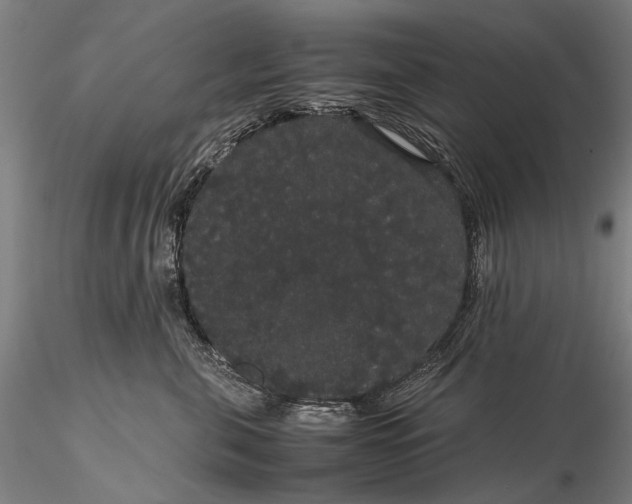 X0000116120571200912071349