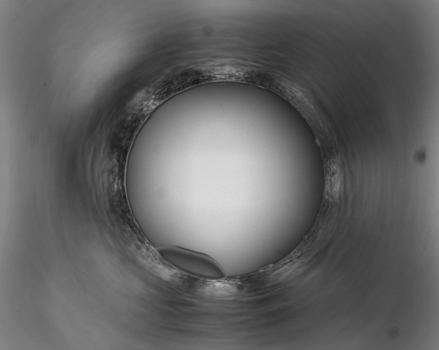 X0000116120573200912071349