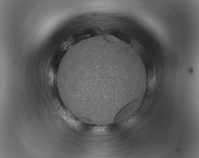 X0000116120574200912071349