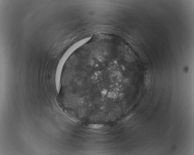 X0000116120575200912071349