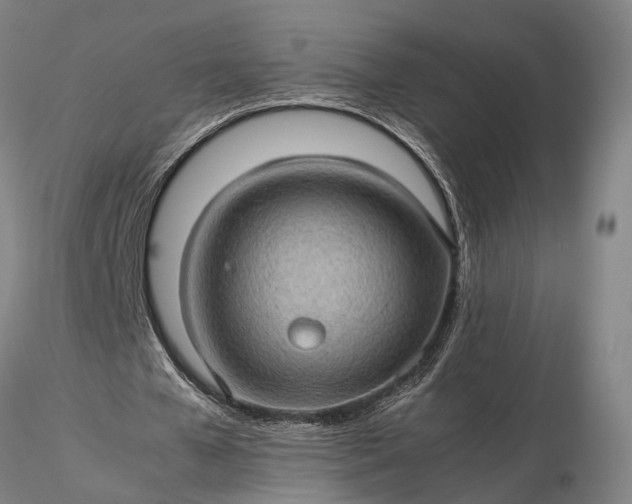 X0000116120577200912071348