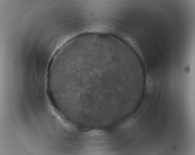 X0000116120578200912071348