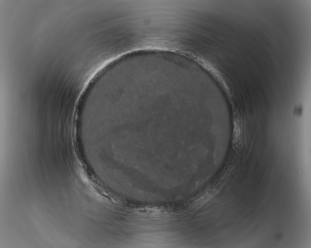 X0000116120580200912071348