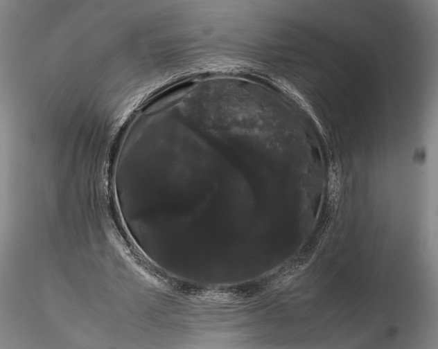 X0000116120581200912071348