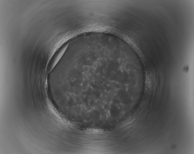 X0000116120582200912071348