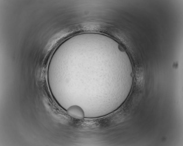 X0000116120583200912071348