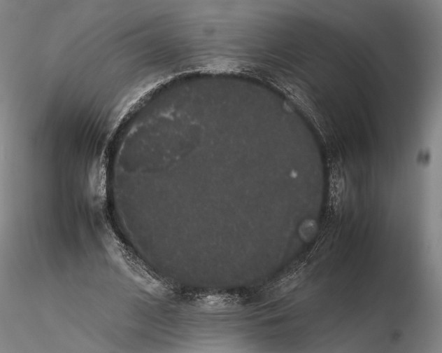 X0000116120584200912071348